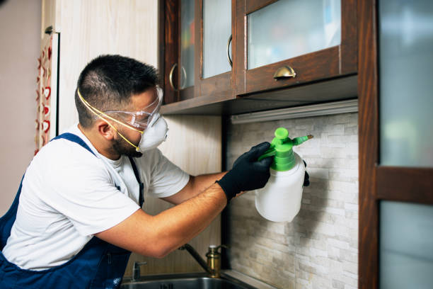 Best Exterminator Services  in Warrensville Heights, OH