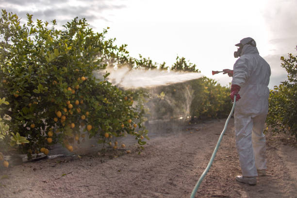 Best Pest Control for Homes  in Warrensville Heights, OH